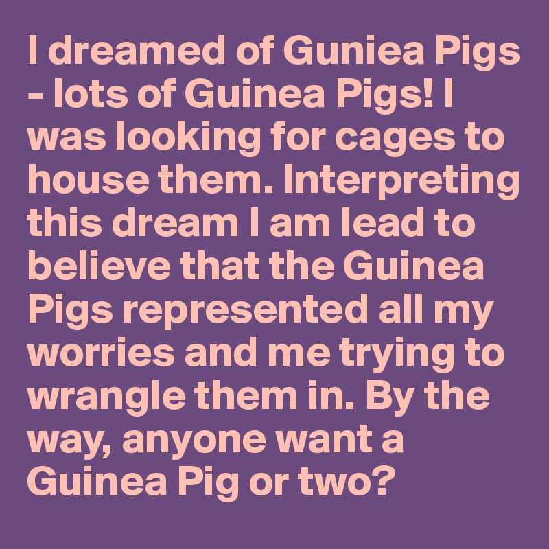 I dreamed of Guniea Pigs - lots of Guinea Pigs! I was looking for cages to house them. Interpreting this dream I am lead to believe that the Guinea Pigs represented all my worries and me trying to wrangle them in. By the way, anyone want a Guinea Pig or two?