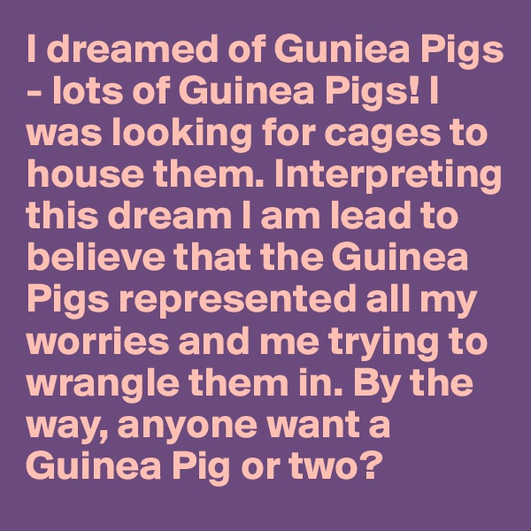 I dreamed of Guniea Pigs - lots of Guinea Pigs! I was looking for cages to house them. Interpreting this dream I am lead to believe that the Guinea Pigs represented all my worries and me trying to wrangle them in. By the way, anyone want a Guinea Pig or two?