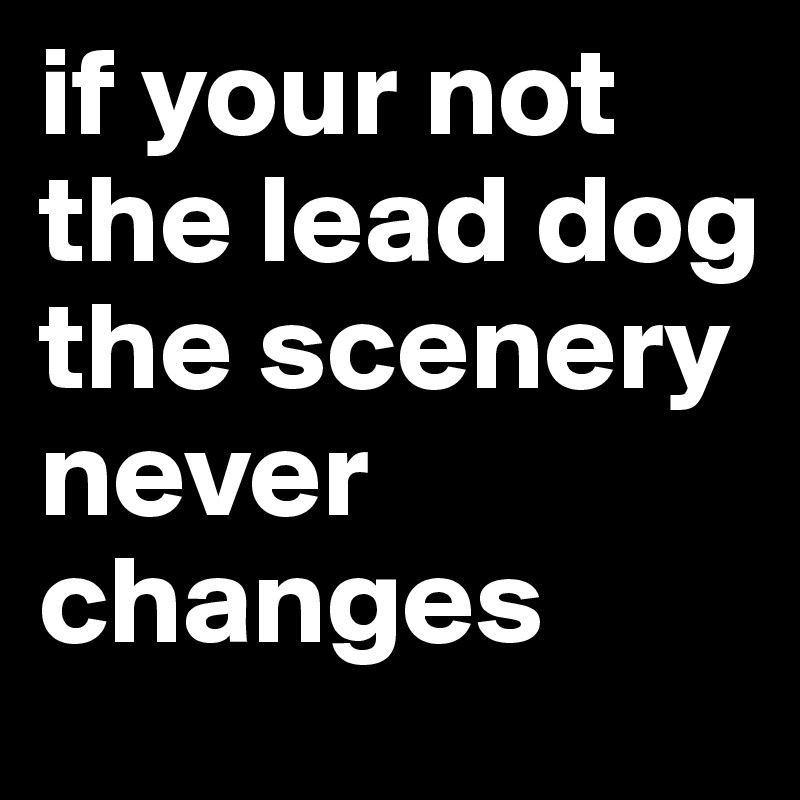 if your not the lead dog the scenery never changes