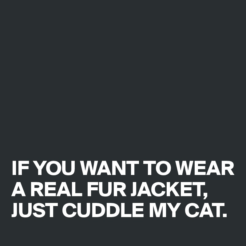 






IF YOU WANT TO WEAR A REAL FUR JACKET, 
JUST CUDDLE MY CAT.