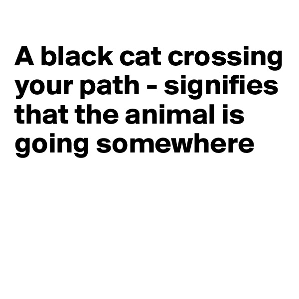 
A black cat crossing your path - signifies that the animal is going somewhere



