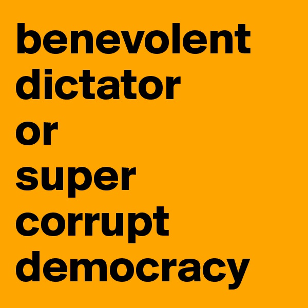benevolent dictator 
or 
super corrupt democracy
