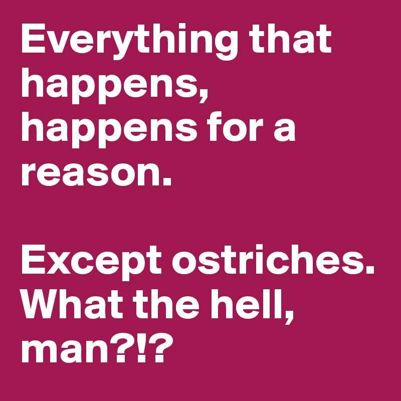 Everything that happens, happens for a reason. 

Except ostriches.  What the hell, man?!?