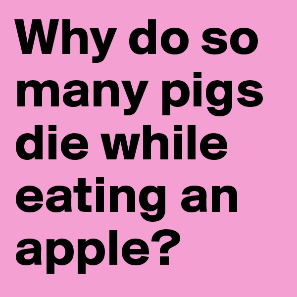 Why do so many pigs die while eating an apple?