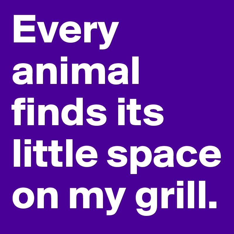 Every animal finds its little space on my grill.