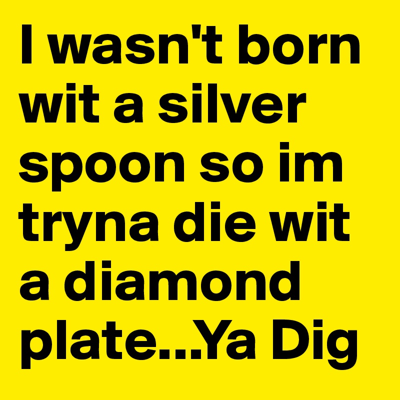 I wasn't born wit a silver spoon so im tryna die wit a diamond plate...Ya Dig