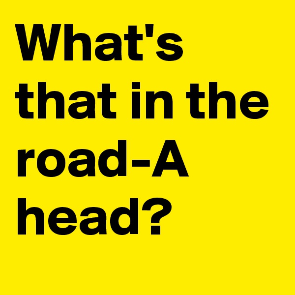 What's  that in the road-A head?