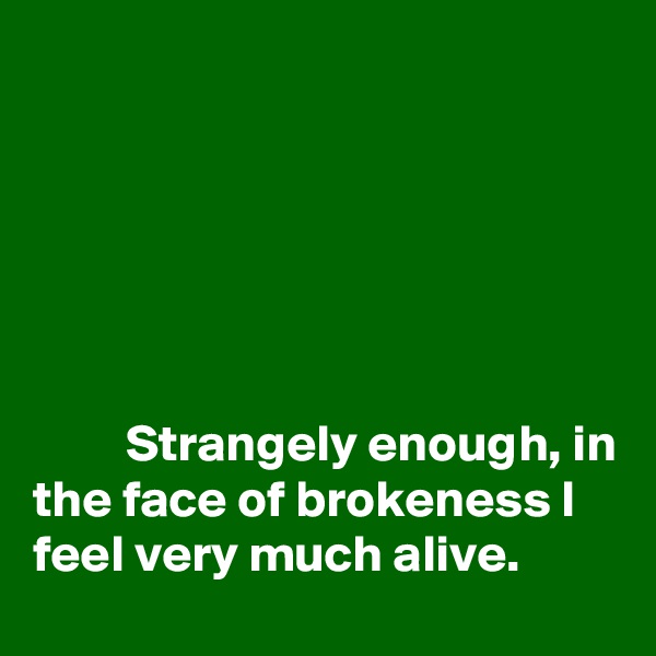 






         Strangely enough, in the face of brokeness I feel very much alive.