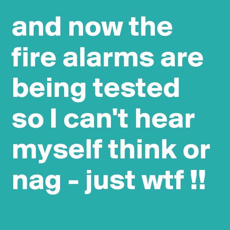 and now the fire alarms are being tested so I can't hear myself think or nag - just wtf !! 