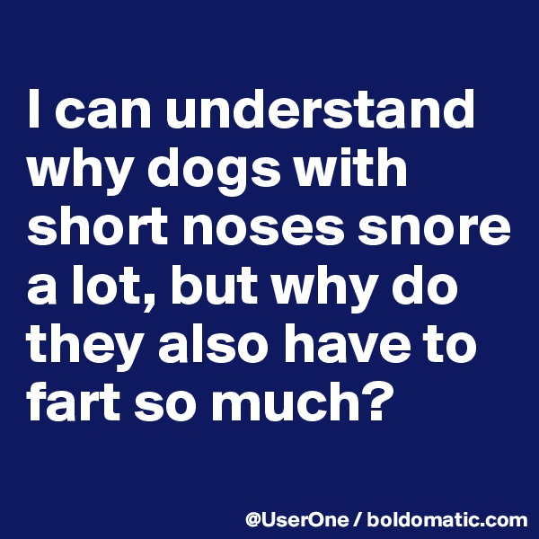 
I can understand why dogs with short noses snore a lot, but why do they also have to fart so much?
