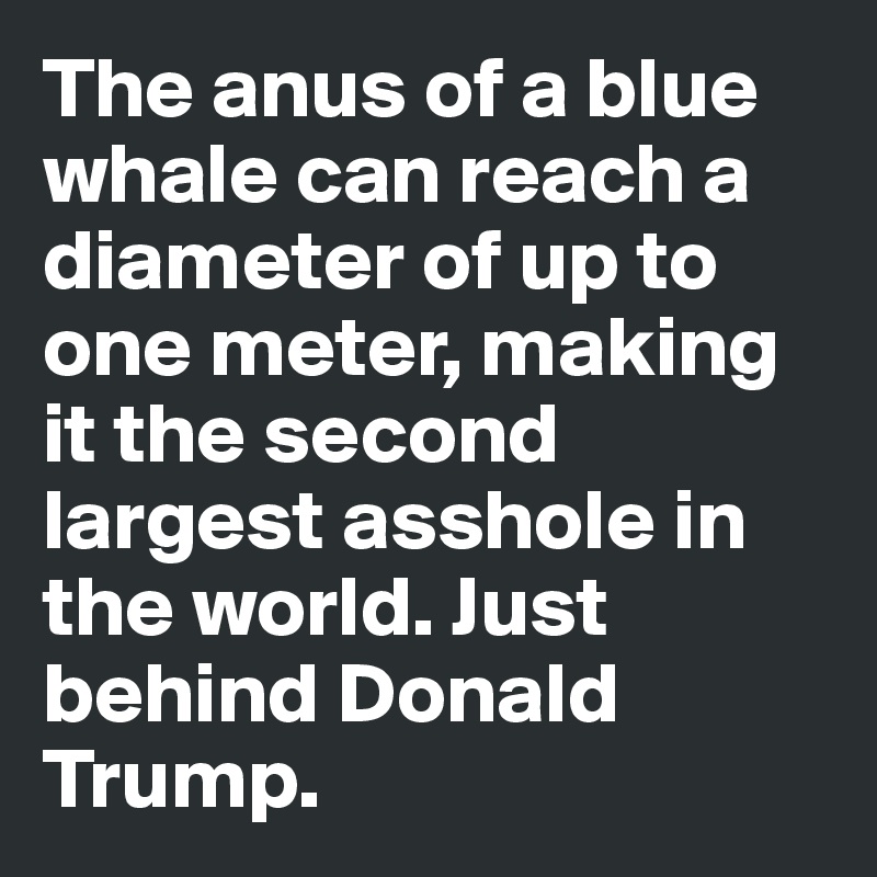 The anus of a blue whale can reach a diameter of up to one meter, making it the second largest asshole in the world. Just behind Donald Trump.