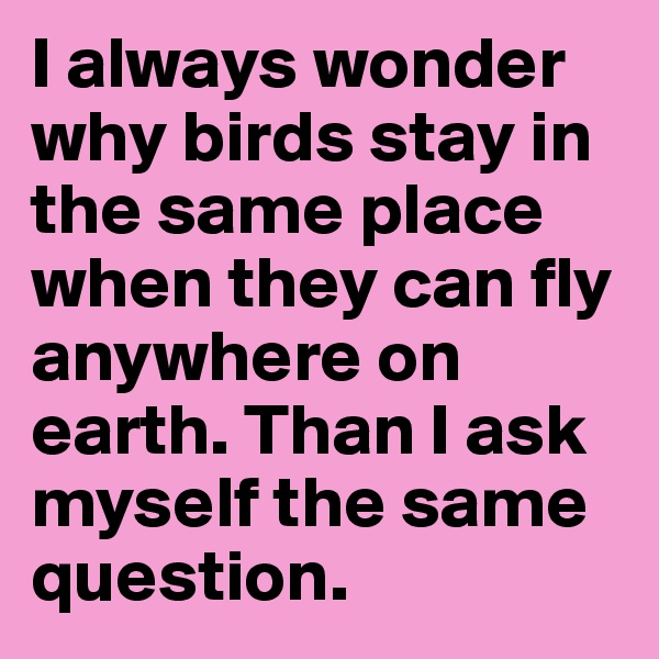 I always wonder why birds stay in the same place when they can fly anywhere on earth. Than I ask myself the same question.
