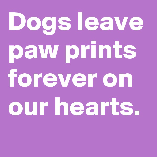Dogs leave paw prints forever on our hearts.