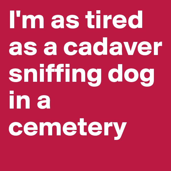 I'm as tired as a cadaver sniffing dog in a cemetery