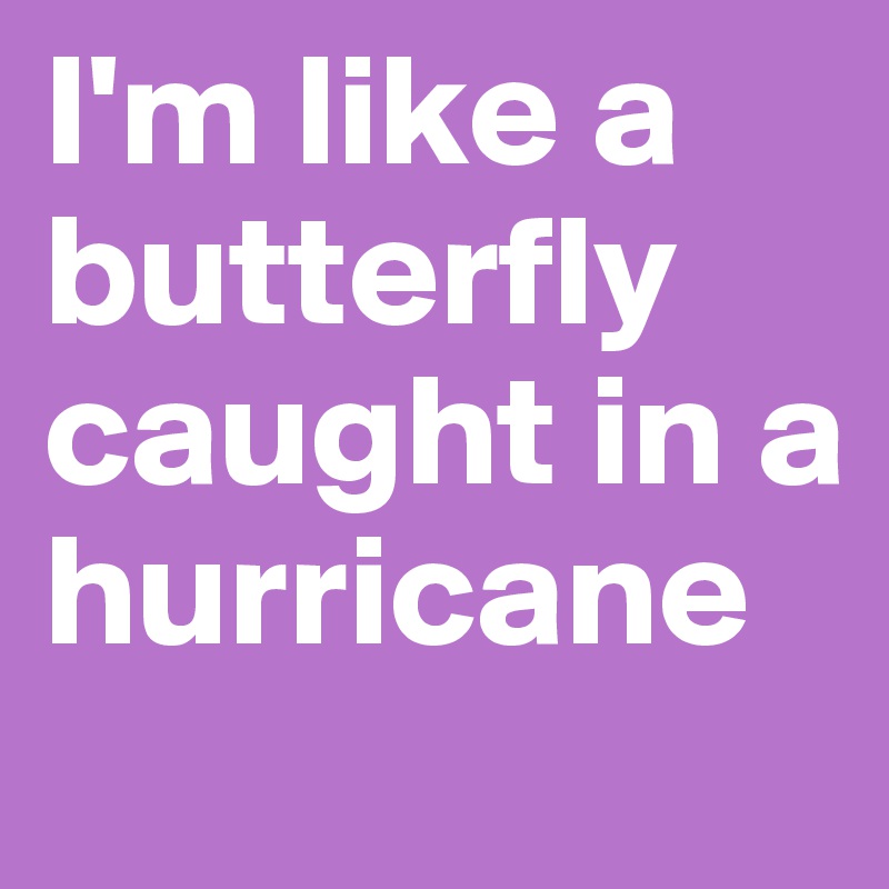 I'm like a butterfly caught in a hurricane