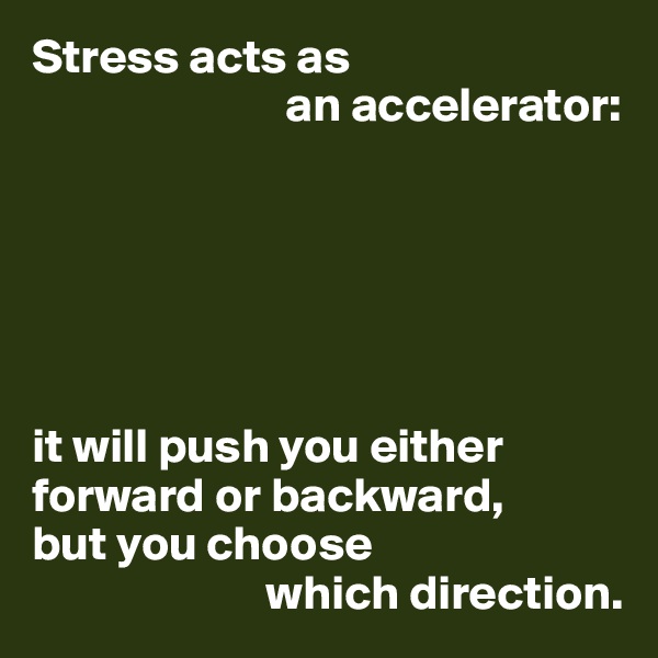 Stress acts as
                          an accelerator:






it will push you either forward or backward, 
but you choose 
                        which direction.