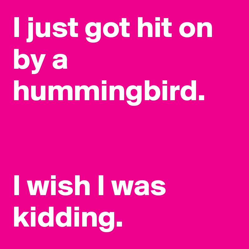 I just got hit on by a hummingbird.


I wish I was kidding.