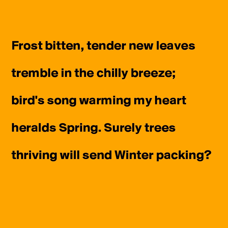 

Frost bitten, tender new leaves 

tremble in the chilly breeze;

bird's song warming my heart 

heralds Spring. Surely trees

thriving will send Winter packing?


