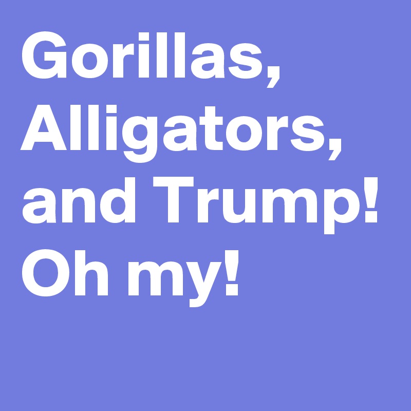 Gorillas, Alligators, and Trump! Oh my!
