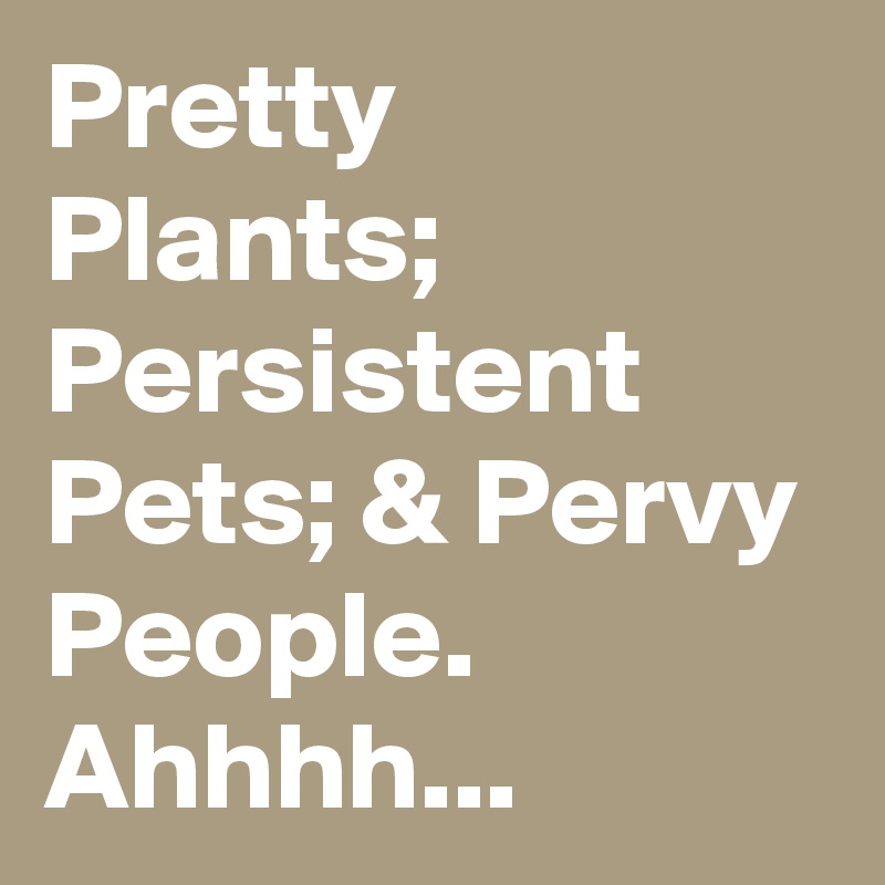 Pretty Plants; Persistent Pets; & Pervy People. Ahhhh...