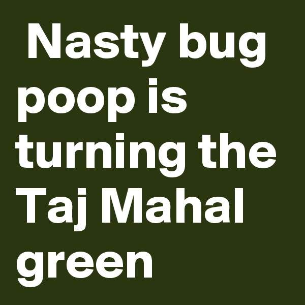  Nasty bug poop is turning the Taj Mahal green