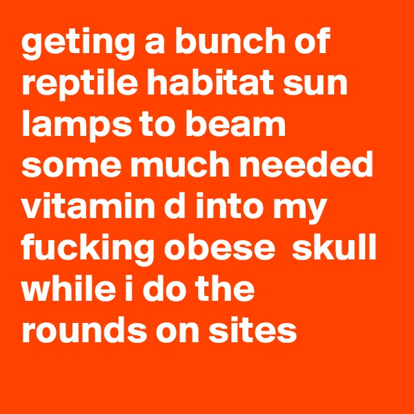 geting a bunch of reptile habitat sun lamps to beam some much needed vitamin d into my fucking obese  skull while i do the rounds on sites