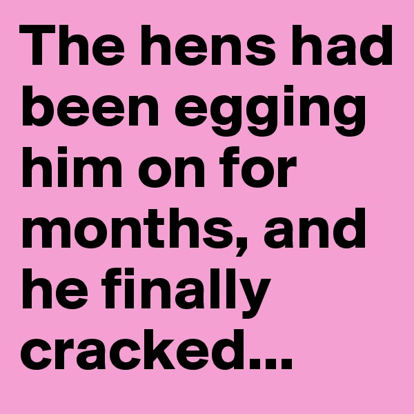 The hens had been egging him on for months, and he finally cracked... 