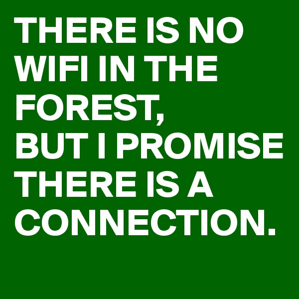 THERE IS NO WIFI IN THE FOREST,
BUT I PROMISE 
THERE IS A CONNECTION.