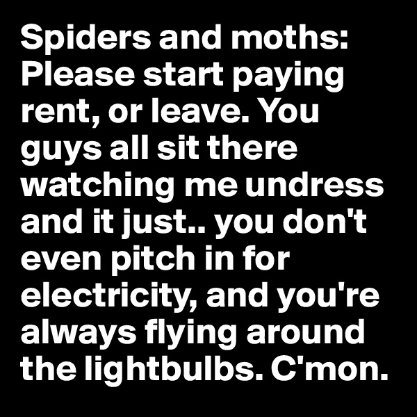 Spiders and moths: Please start paying rent, or leave. You guys all sit there watching me undress and it just.. you don't even pitch in for electricity, and you're always flying around the lightbulbs. C'mon.
