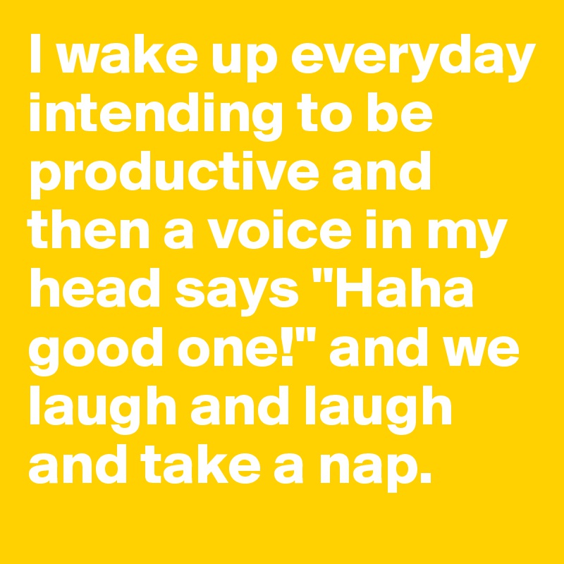 I wake up everyday intending to be productive and then a voice in my head says "Haha good one!" and we laugh and laugh and take a nap. 