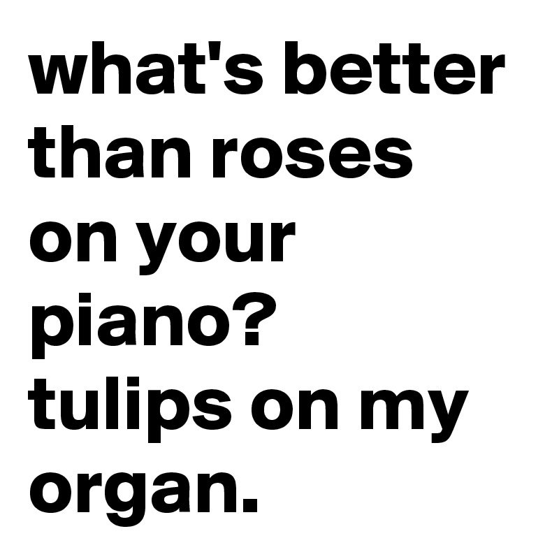 what's better than roses on your     piano?            tulips on my organ.