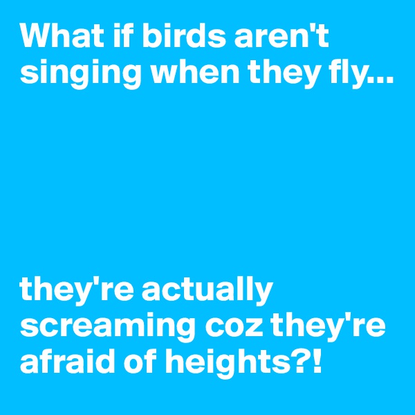What if birds aren't singing when they fly...





they're actually screaming coz they're afraid of heights?!