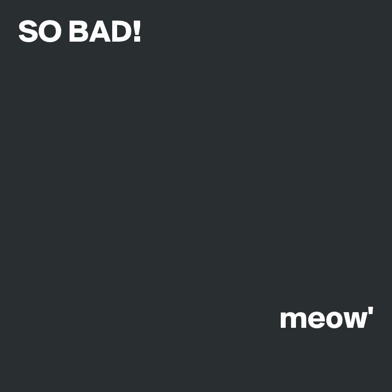 SO BAD!








                                         meow'