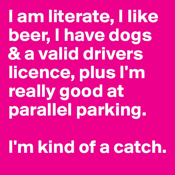I am literate, I like beer, I have dogs & a valid drivers licence, plus I'm really good at parallel parking.

I'm kind of a catch.