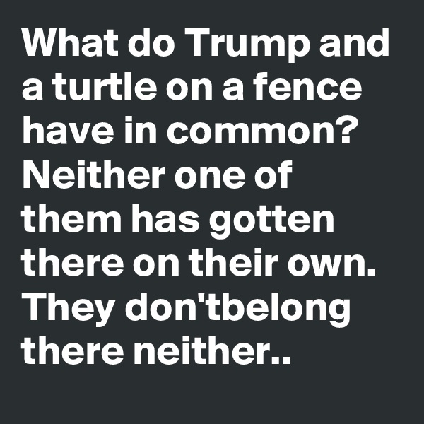 What do Trump and a turtle on a fence have in common? 
Neither one of them has gotten  there on their own. They don'tbelong there neither.. 