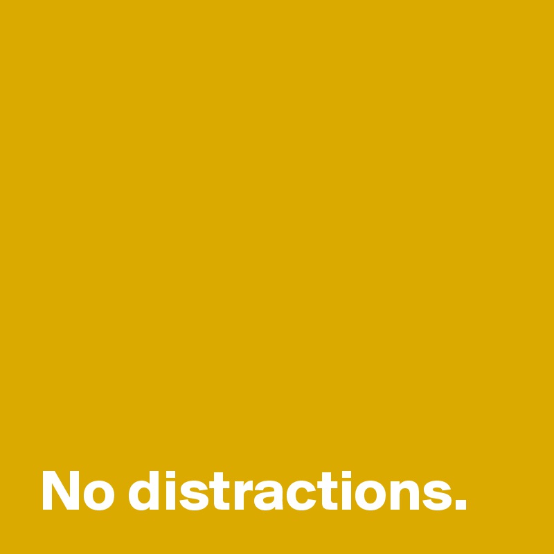 






 No distractions.