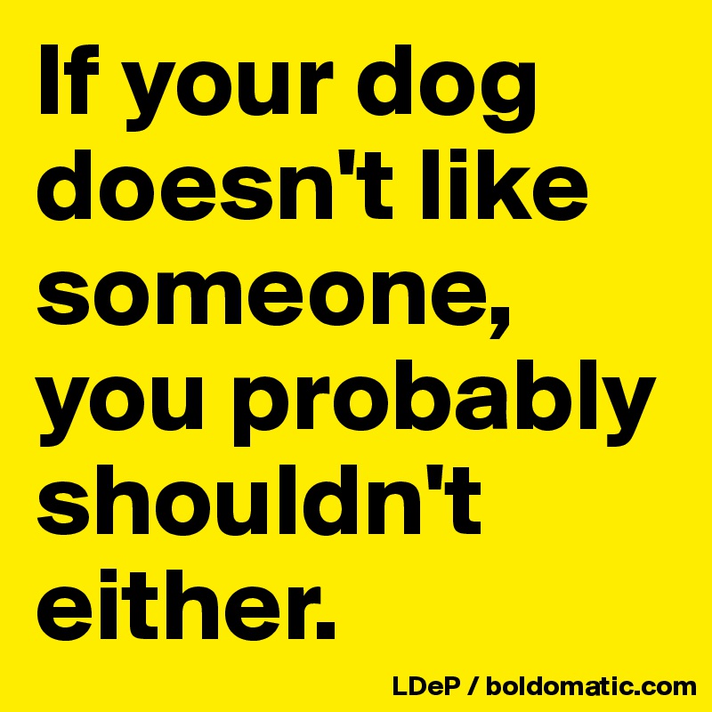 If your dog doesn't like someone, you probably shouldn't either. 