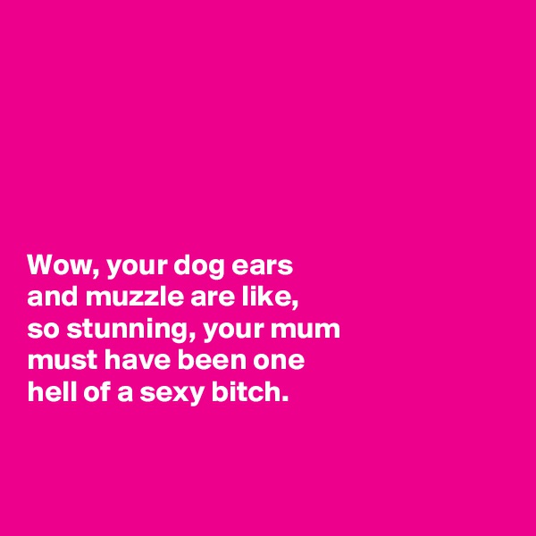 






Wow, your dog ears 
and muzzle are like, 
so stunning, your mum 
must have been one 
hell of a sexy bitch. 


