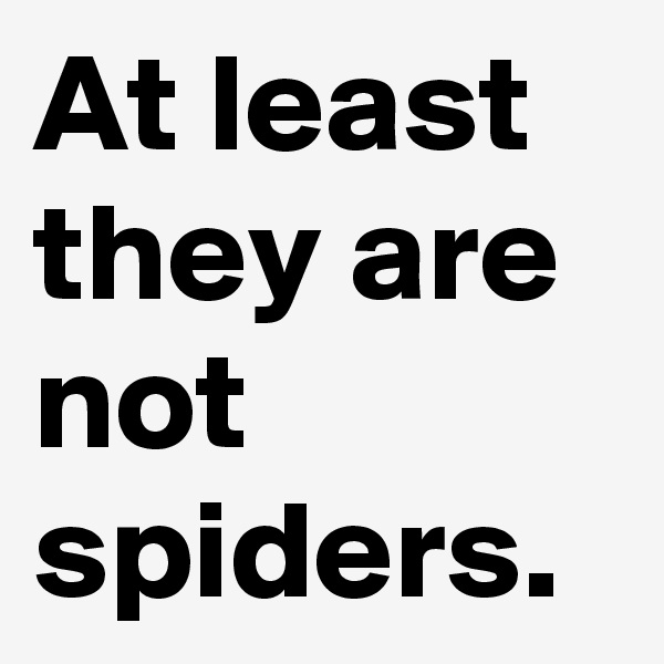 At least they are not spiders.