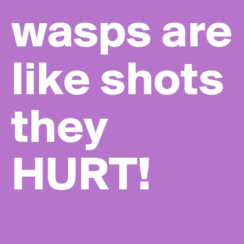 wasps are like shots they HURT!