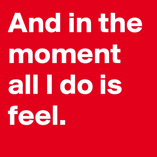 And in the moment all I do is feel.