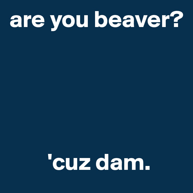 are you beaver? 





        'cuz dam.