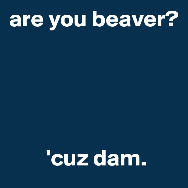 are you beaver? 





        'cuz dam.
