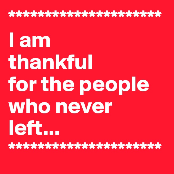 *********************
I am 
thankful   
for the people who never left... 
*********************