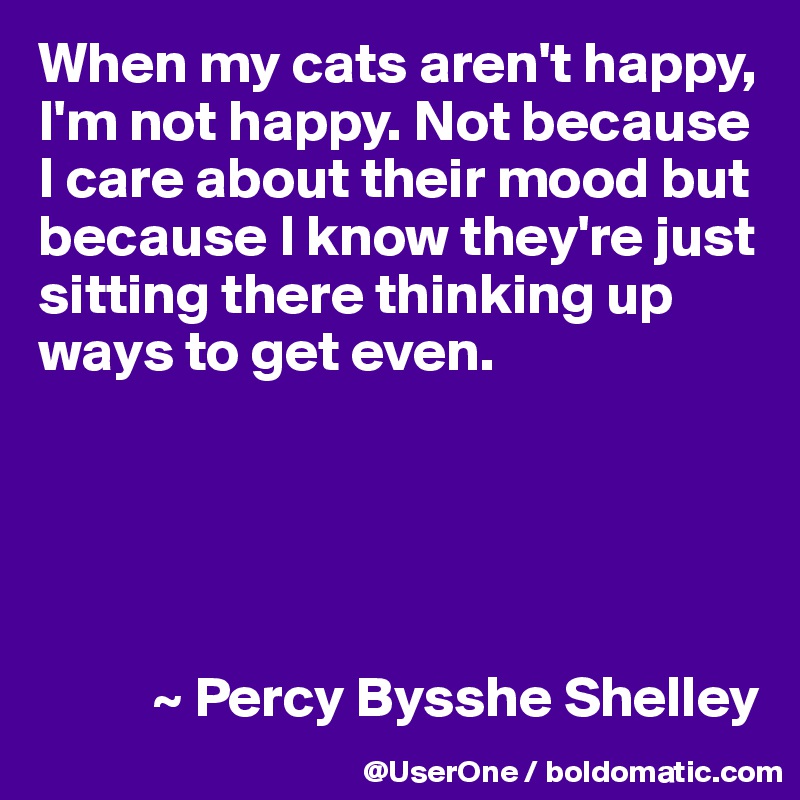 When my cats aren't happy, I'm not happy. Not because I care about their mood but because I know they're just sitting there thinking up ways to get even.





          ~ Percy Bysshe Shelley