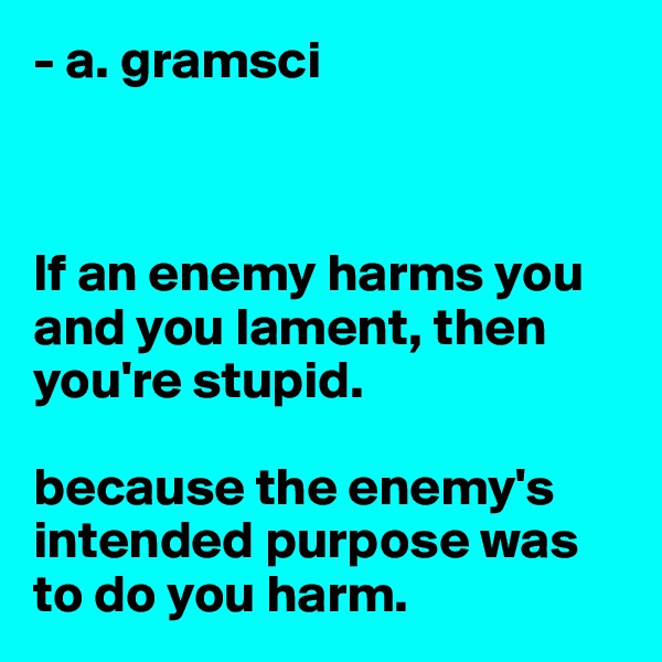 - a. gramsci



If an enemy harms you and you lament, then you're stupid.

because the enemy's intended purpose was to do you harm.