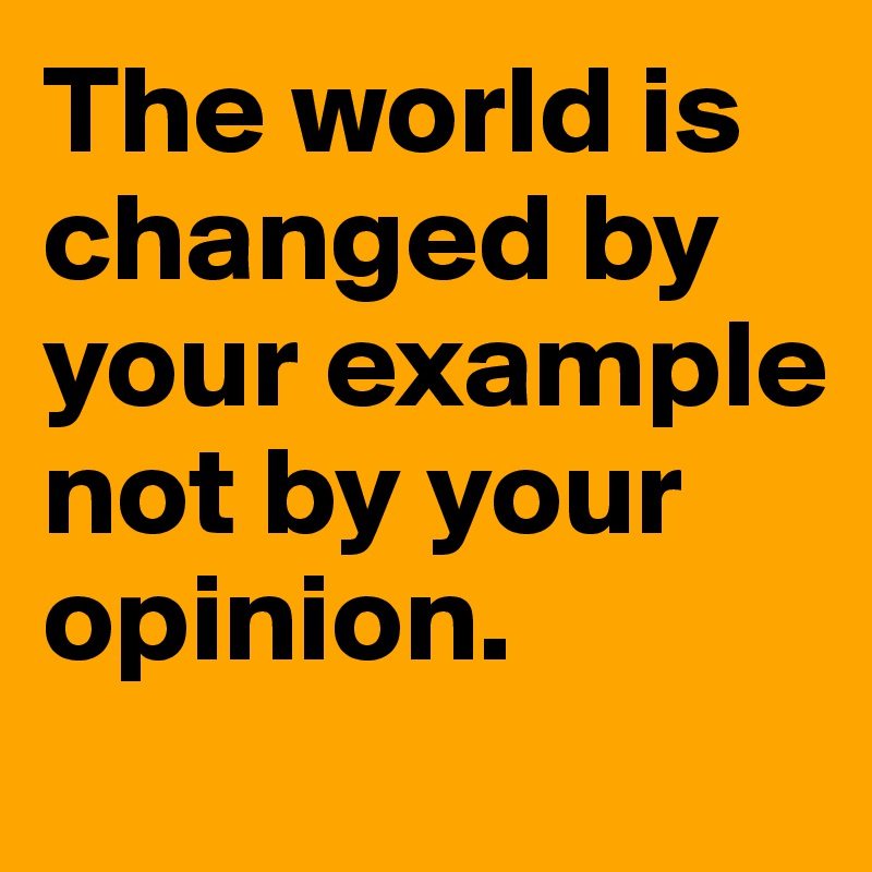 The world is
changed by your example 
not by your
opinion.
