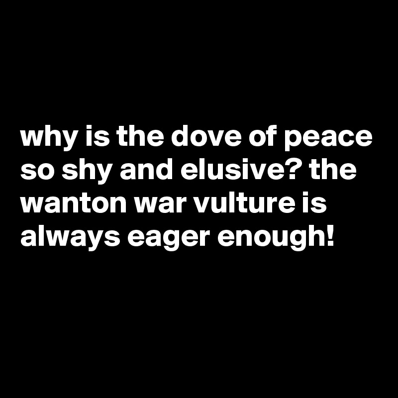 


why is the dove of peace so shy and elusive? the wanton war vulture is always eager enough!


