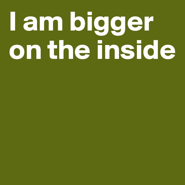 I am bigger on the inside


