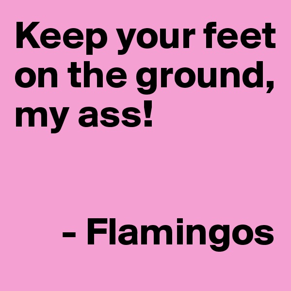 Keep your feet on the ground, my ass!


      - Flamingos